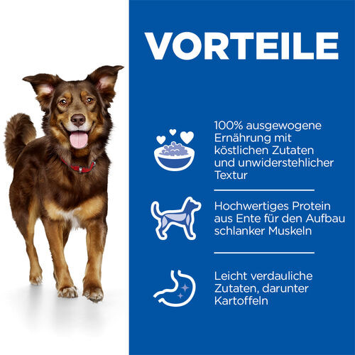 Hill's Culinary Creations Adult Medium Hundefutter mit Ente und Kartoffel