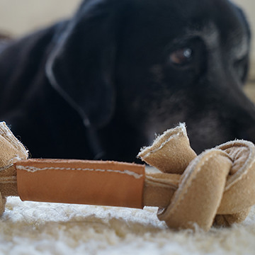 Hugglehounds Naturals geknoopt leren bot voor de hond