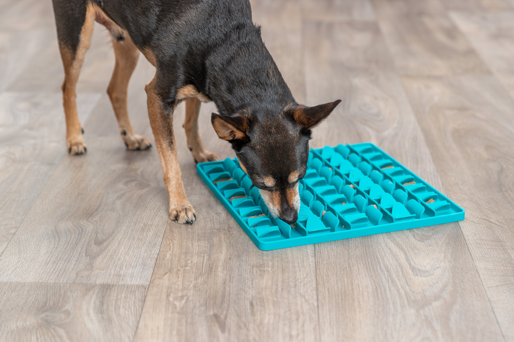 Trixie Lick'n'Snack likmat voor de hond (30 cm)