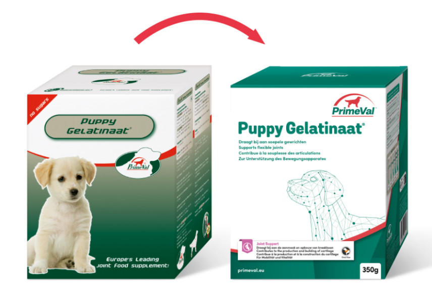 Primeval Puppy Gelatinate für Hunde