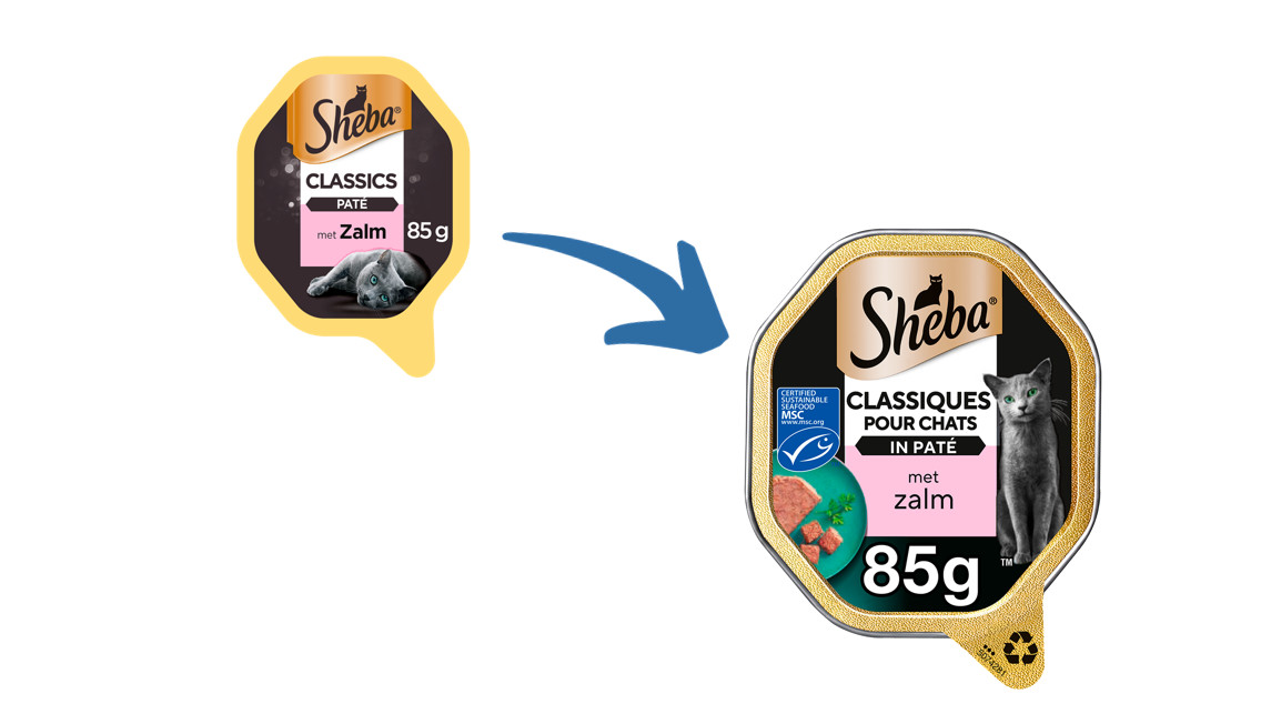 Sheba Classics Paté mit Lachs Katzen-Nassfutter (Schale 85 g)