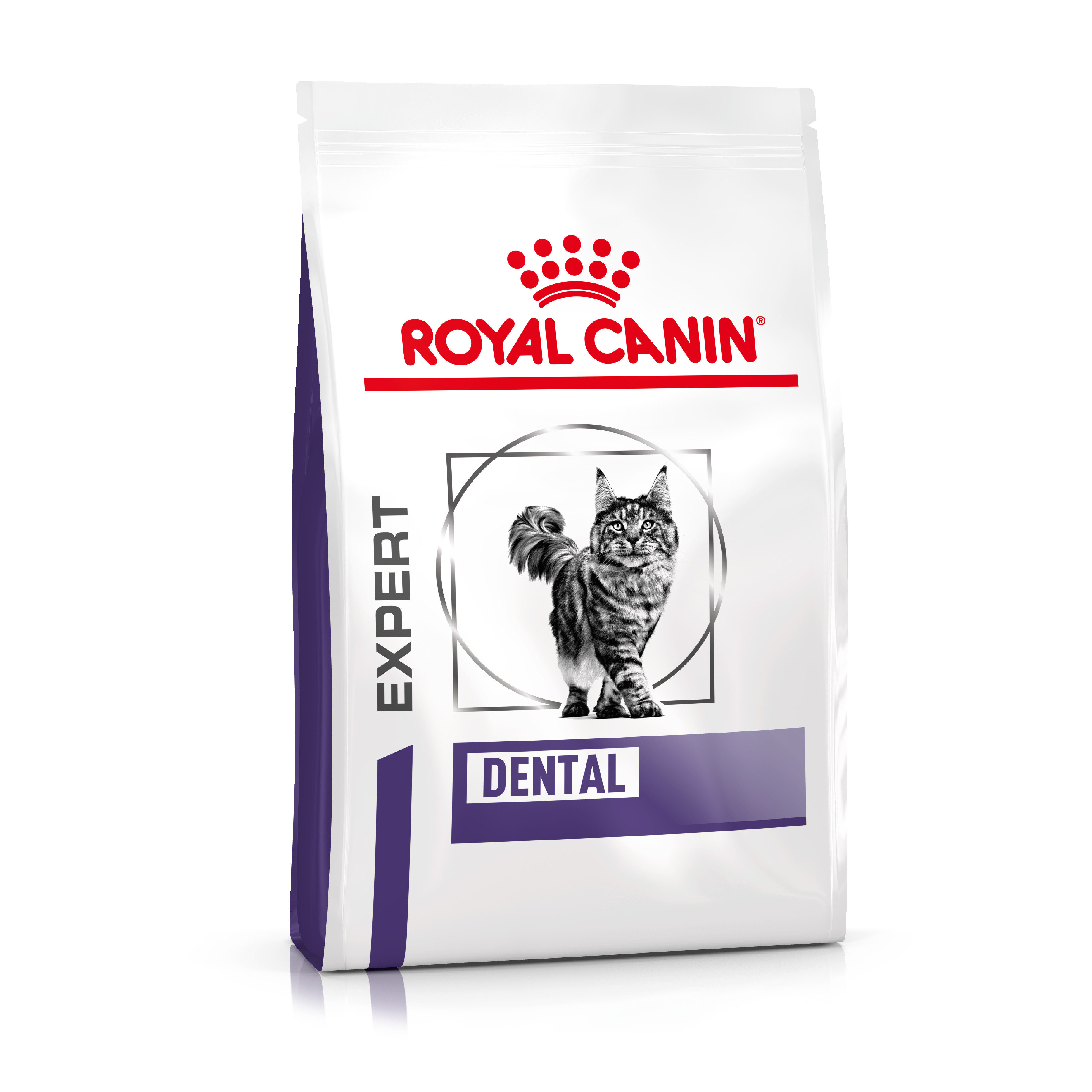 Royal Canin Expert Dental Katzenfutter