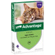 Advantage Nr. 80 Flohmittel (ab 4 kg) Katze