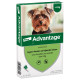 Advantage Nr. 40 Flohmittel (bis 4 kg) Hund