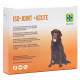 Iso-Joint +Acute Tabletten für den Hund